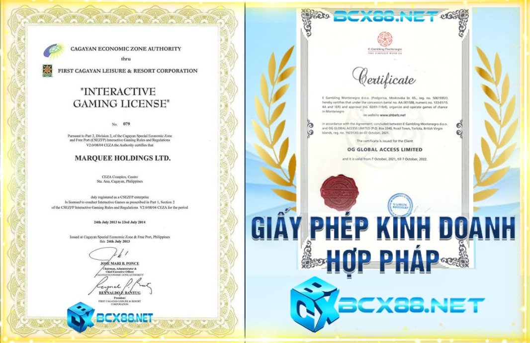Giấy hợp pháp khác